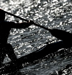 ФГСР: Российские гребцы могут пропустить чемпионат мира в Нидерландах из-за отсутствия виз